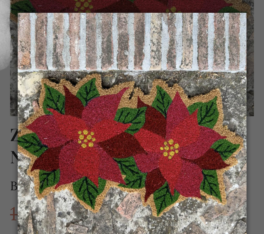 Zerbino Stella di Natale