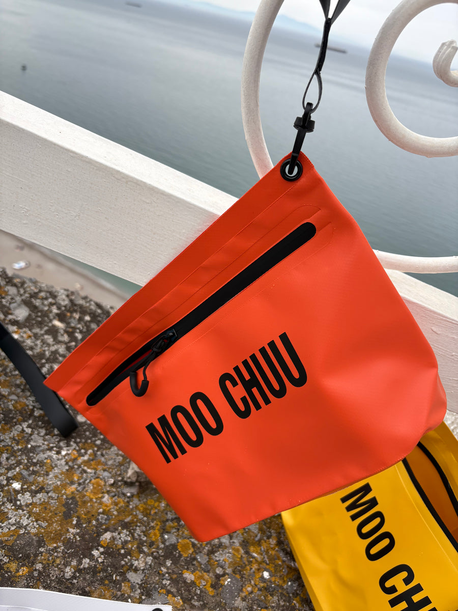 Pochette Moo Chuu